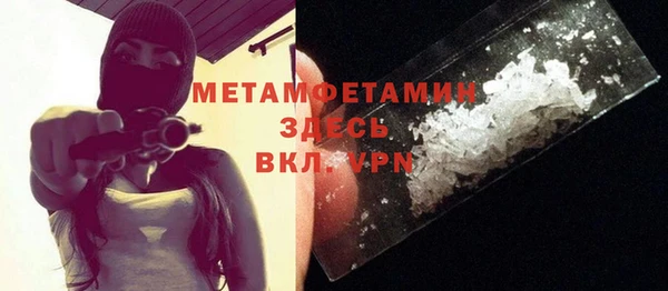 сатива Инта