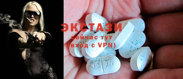ECSTASY Инсар