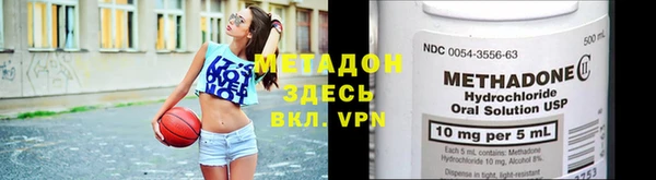 сатива Инта