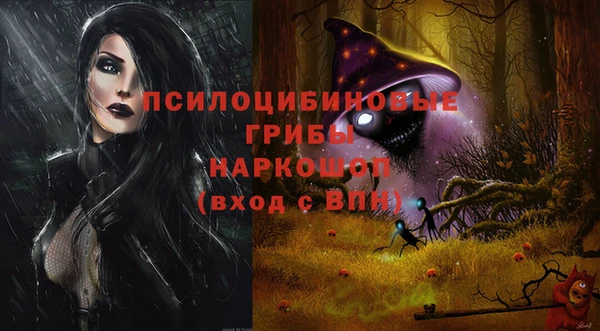 ECSTASY Инсар