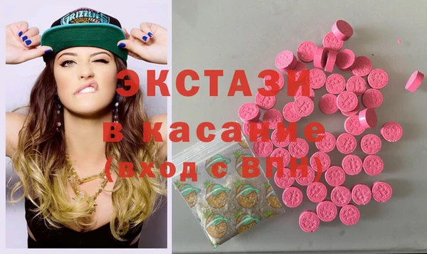 ECSTASY Инсар