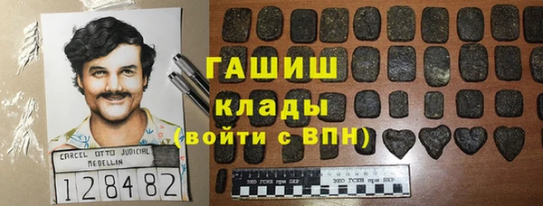 сатива Инта