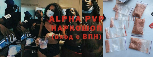 сатива Инта
