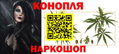 амф Аша