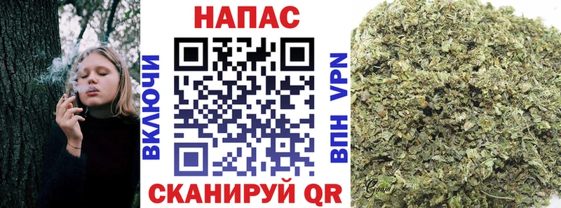 купить наркоту  Заринск  Шишки марихуана Amnesia 